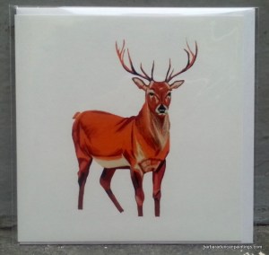 Red Deer Stag